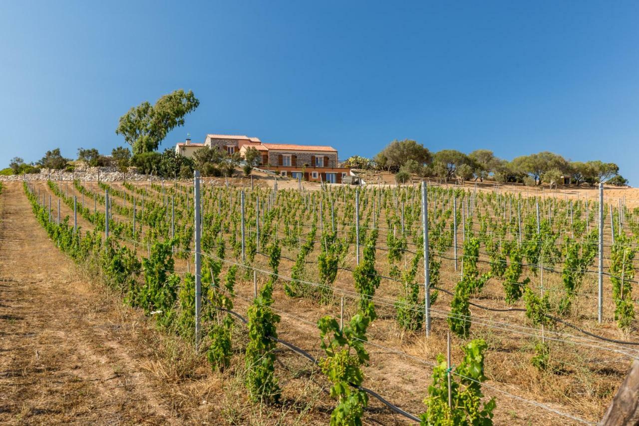 Tenuta Petra Bianca Palau Exteriér fotografie