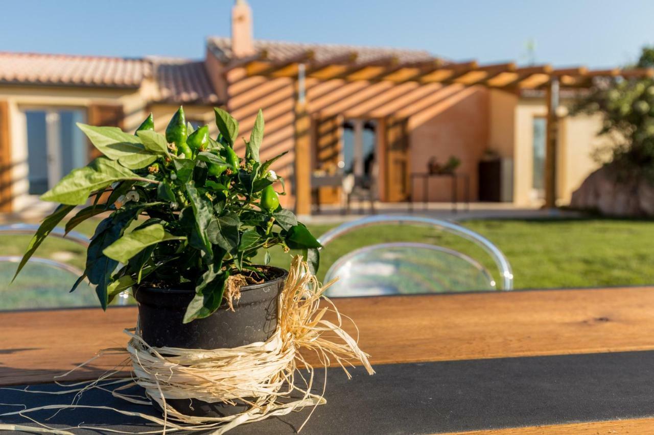 Tenuta Petra Bianca Palau Exteriér fotografie