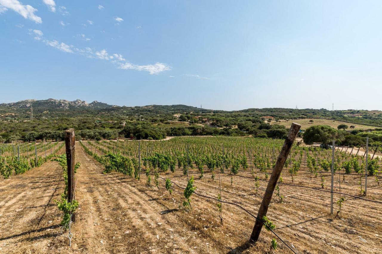 Tenuta Petra Bianca Palau Exteriér fotografie